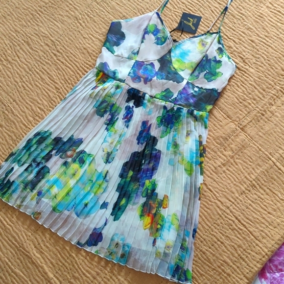 🆕🌿BB DAKOTA FLORAL DRESS 🌿 - Picture 4 of 12